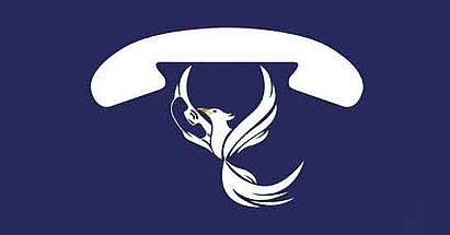 Telefon & DSL phoenix-it-solutions_telefon-dsl-icon