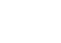 phoenix_it_solutions_logo_negativ
